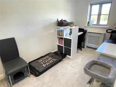 Picture 10